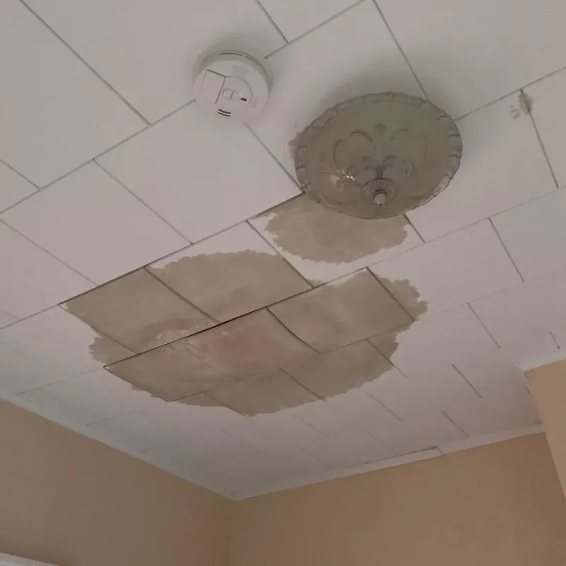 Ceiling Water Damage Repair in Bluffdale, UT