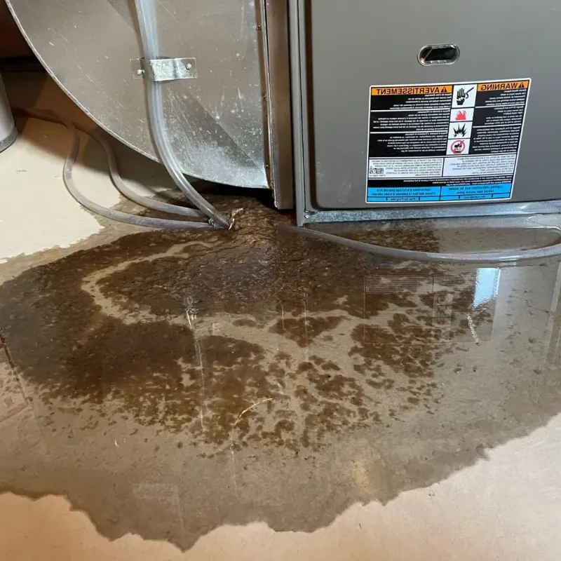 Pipe Burst and Leak Restoration in Bluffdale, UT